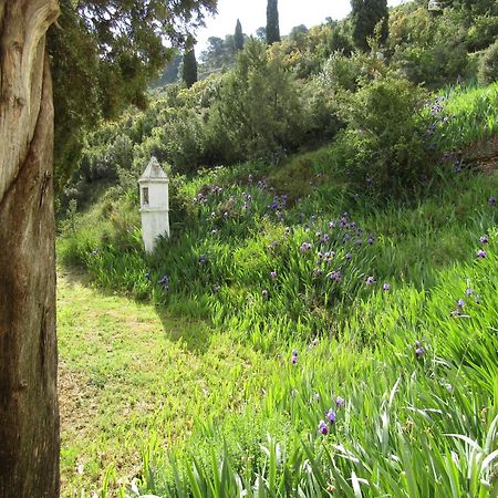 הוילה בסייטה Casa Burgues מראה חיצוני תמונה