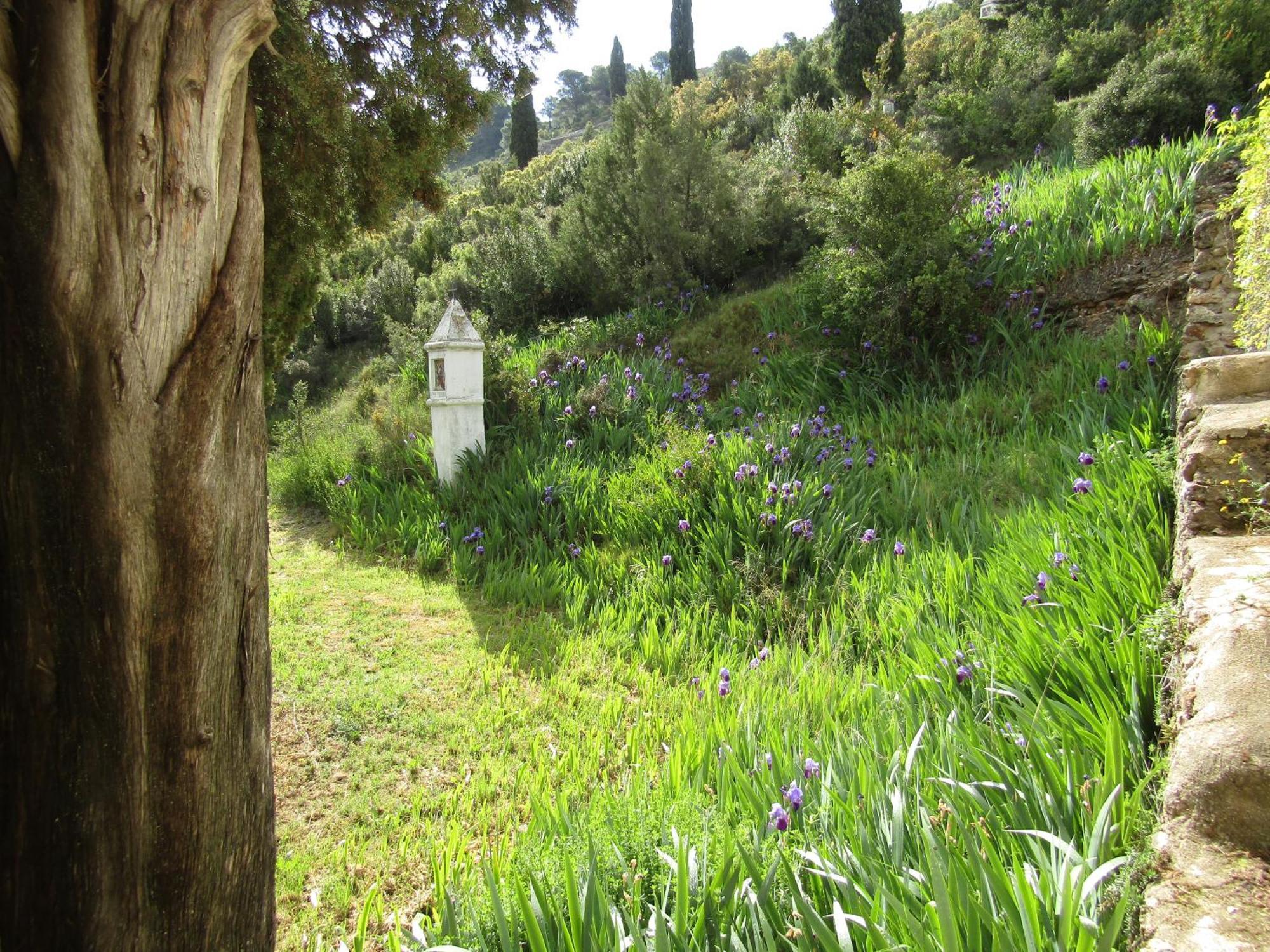 הוילה בסייטה Casa Burgues מראה חיצוני תמונה